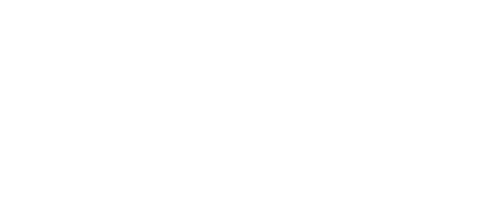 dentzzLogoWhite (1) 1